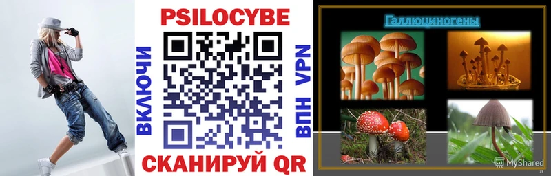 Псилоцибиновые грибы Psilocybine cubensis Будённовск