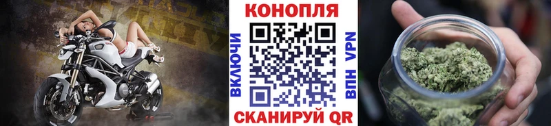 Конопля THC 21%  Будённовск 